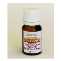 {
  "text": "sweetgrass essential oil"
}