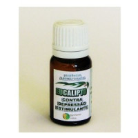 {
  "text": "eucalyptus essential oil"
}