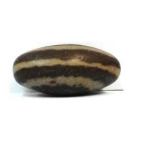 {
  "text": "shiva lingam – media"
}