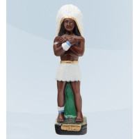 {
  "name": "Caboclo white feather – 30cm"
}