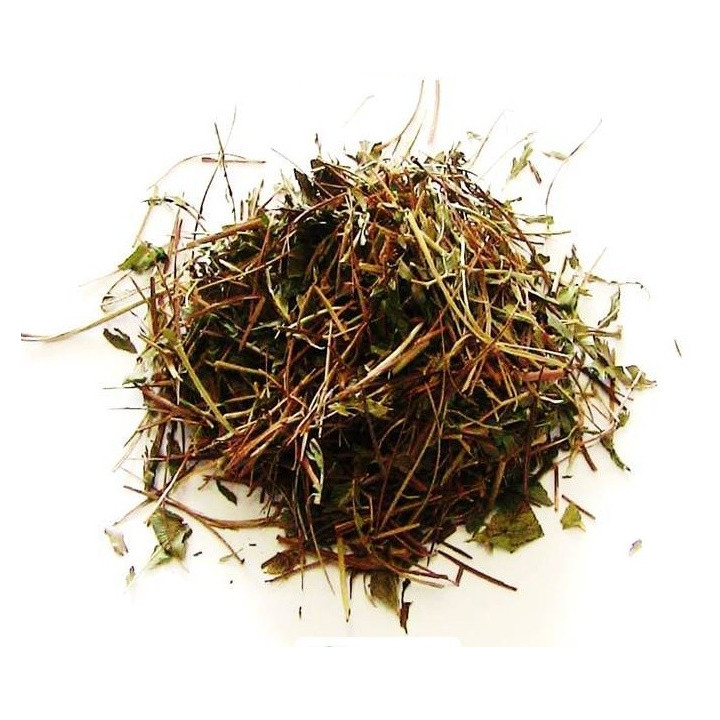 {
  "name": "Abre Caminho Herb"
}