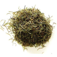 {
  "name": "rosemary – plant 100g"
}