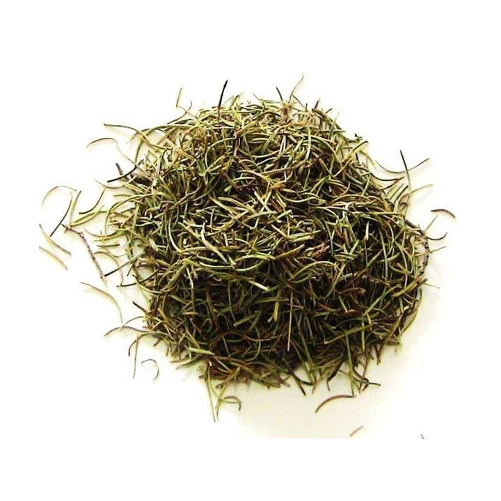 {
  "name": "rosemary – plant 100g"
}