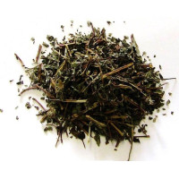 levante – planta 50gr