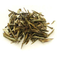 {
  "name": "Oliveira"
}