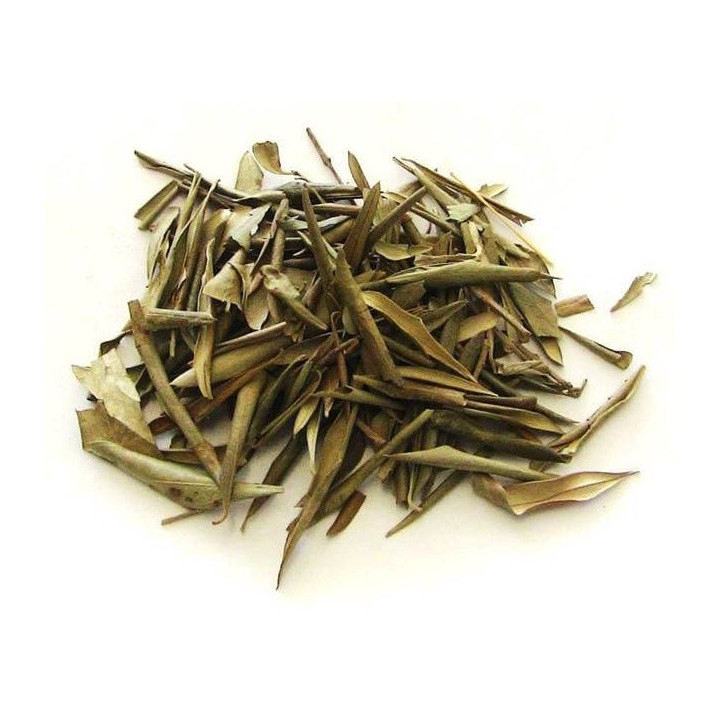 {
  "name": "Oliveira"
}