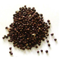 pimenta da costa – grãos 5gr