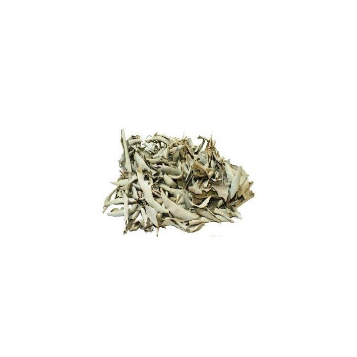 salvia branca – planta 50gr