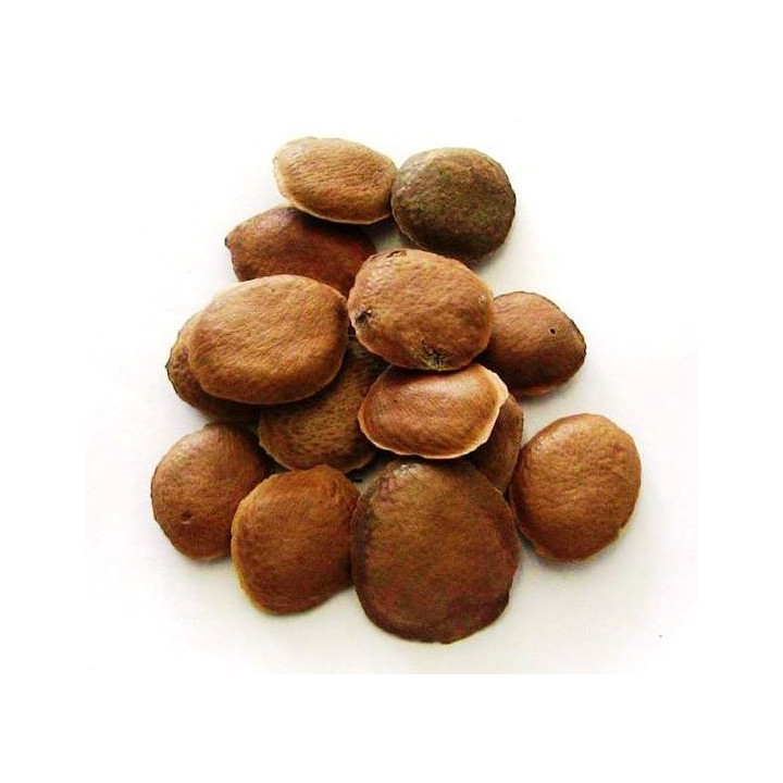 {
  "product": "sucopteris - seeds 50gr"
}