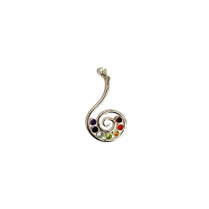 {
  "text": "spiral pendant – chakras"
}