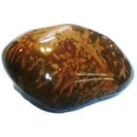 {
  "text": "jasper flower"
}