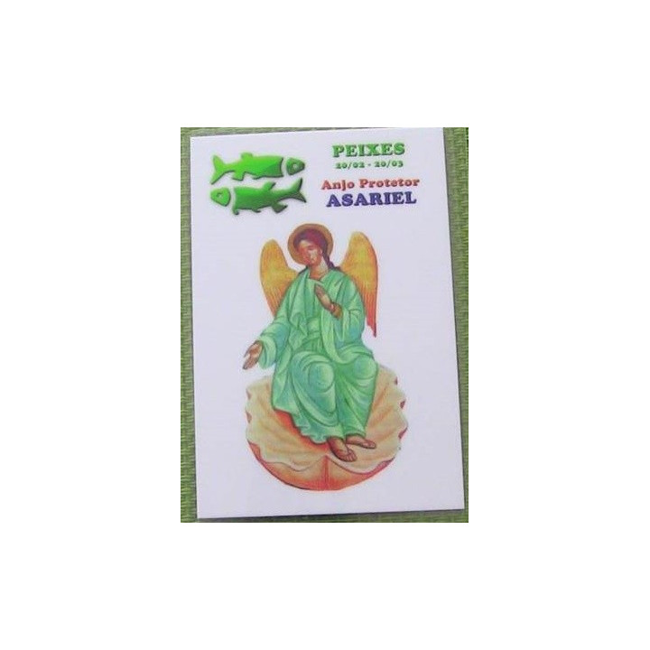 {
  "text": "zodiac card - pisces/asariel"
}