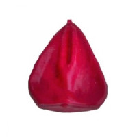 {
  "text": "red vaginal candle"
}