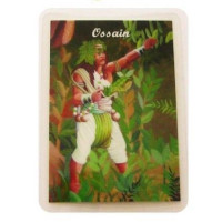 {
  "product_name": "Orixá card – Ossain"
}