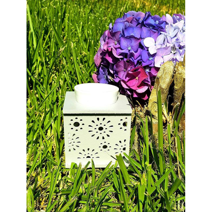 {
  "product_name": "Essence Burner - Room Freshener"
}