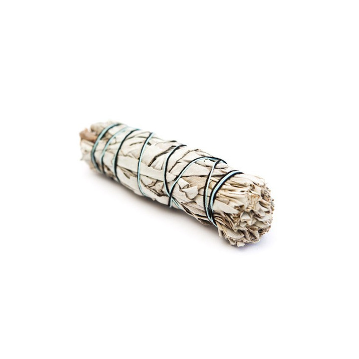 {
  "product_name": "white sage – torch (15cm roll)"
}