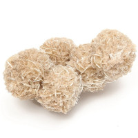 ROSA DO DESERTO (ROSA DAS AREIAS) 160-170GR