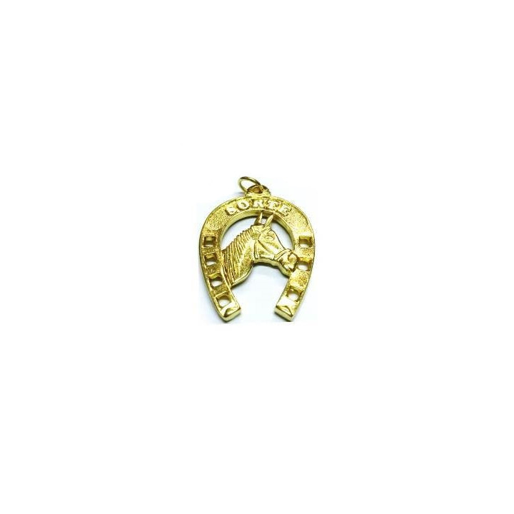 {
  "product_name": "golden horseshoe – 4cm"
}