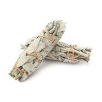 {
  "name": "White Sage - Torch (Roll 11cm)"
}