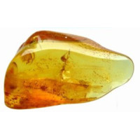 {
  "name": "Baltic Amber"
}