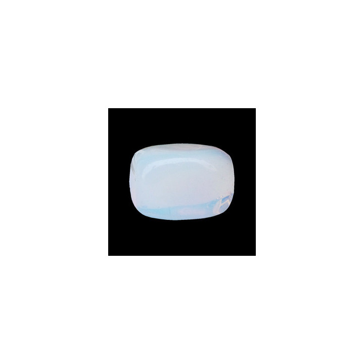 {
  "text": "Opaline - Media"
}