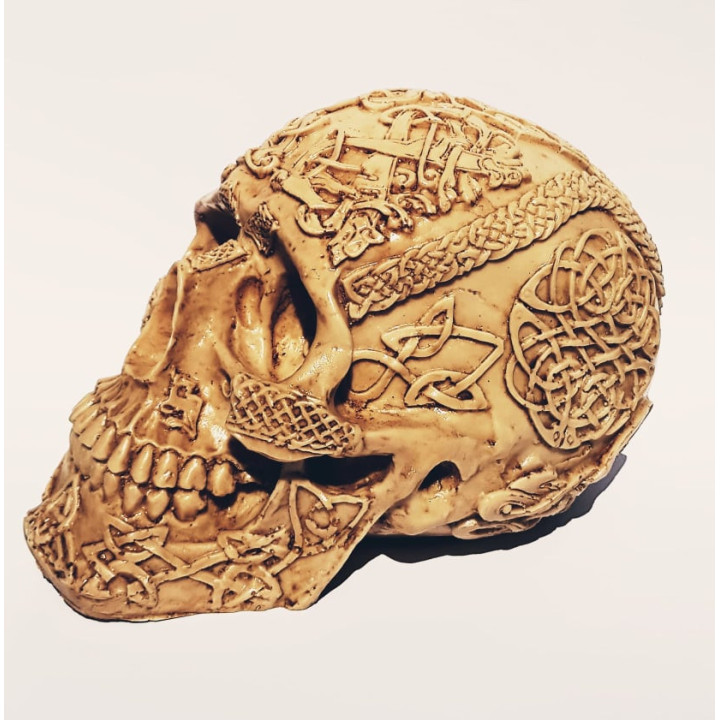 {
  "name": "Decorative Skull - 18cm x 11cm x 11cm"
}