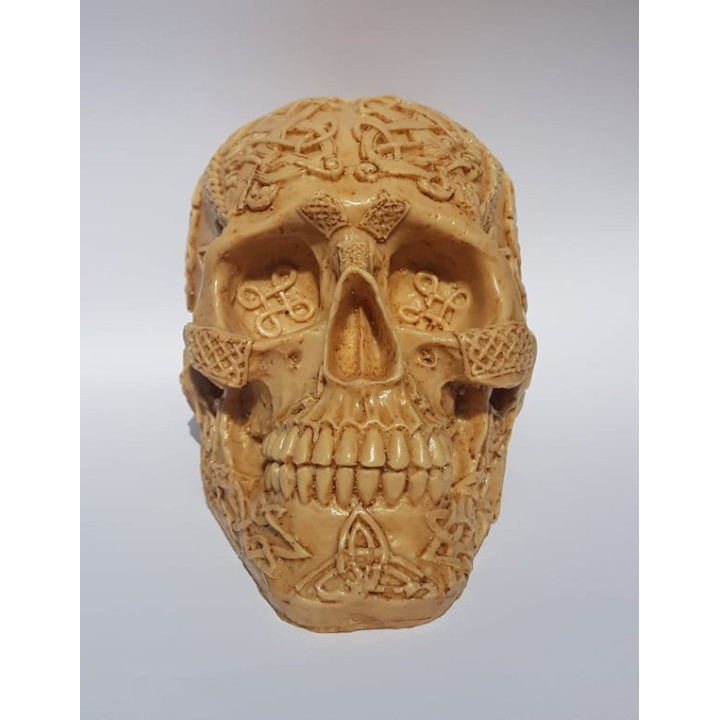 {
  "name": "Decorative Skull - 18cm x 11cm x 11cm"
}