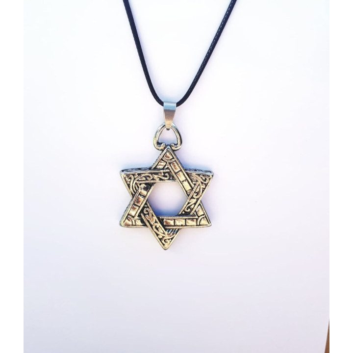 {
  "name": "Star of David Talisman - (Stainless Steel)"
}