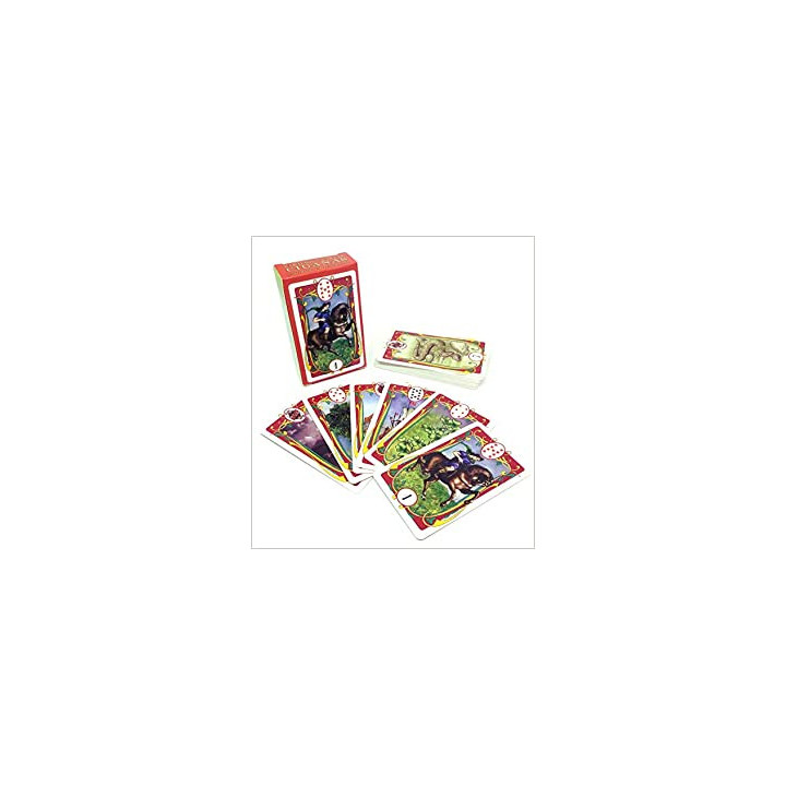 {
  "product_name": "Gypsy Playing Cards"
}