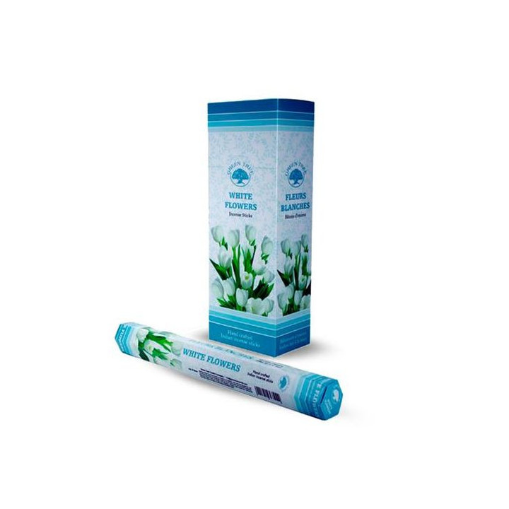 {
  "name": "White Flowers Incense - 20g"
}