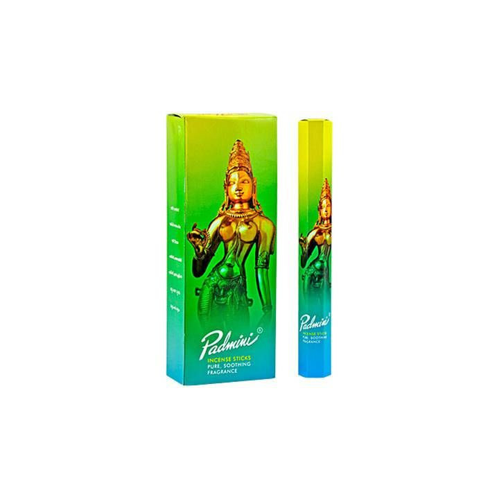 {
  "name": "Padmini Incense - 20g"
}