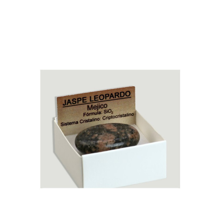 {
  "name": "Leopard Marbled - Oval"
}