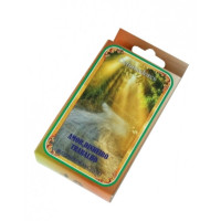 {
  "name": "Path Opener Incense Cones"
}