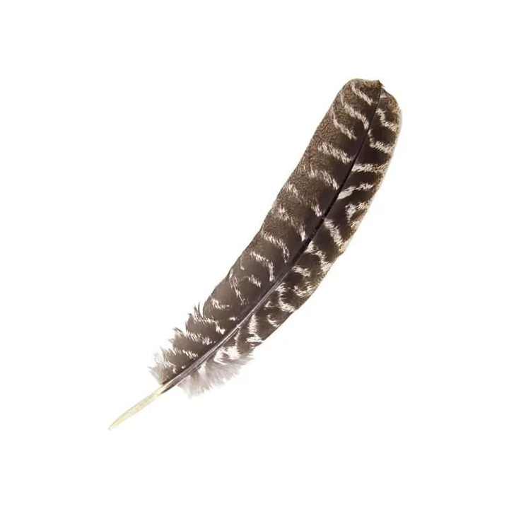 {
  "name": "Ritual Peruvian Feather - 30cm"
}