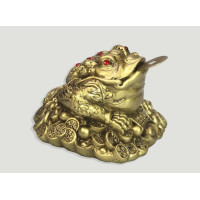 {
  "text": "money toad – medium"
}