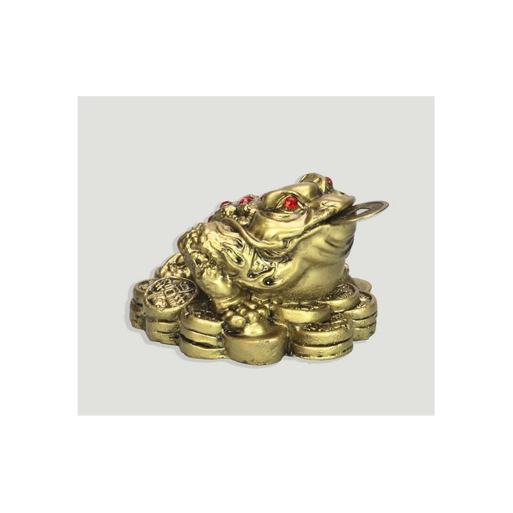 {
  "name": "money toad – small"
}
