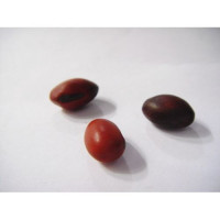 {
  "name": "Iemanjá Bean Without Cotton"
}