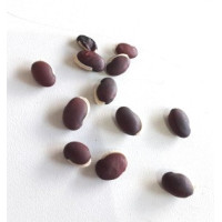 {
  "name": "Fava Amarração"
}