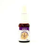 {
  "product_name": "Floral Laurus Nóbilis - 10ml"
}