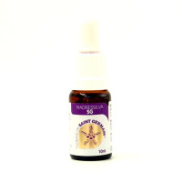 {
  "name": "Floral Madressilva - 10ml"
}