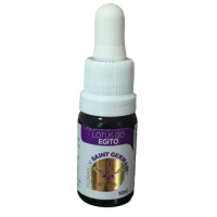 {
  "name": "Egyptian Lotus Floral - 10ml"
}