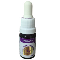Floral Umbellata - 10ml