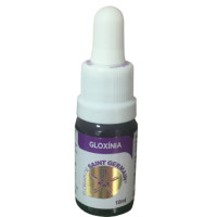 {
  "name": "Floral Gloxinea - 10ml"
}