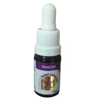 {
  "name": "Floral Panicum - 10ml"
}