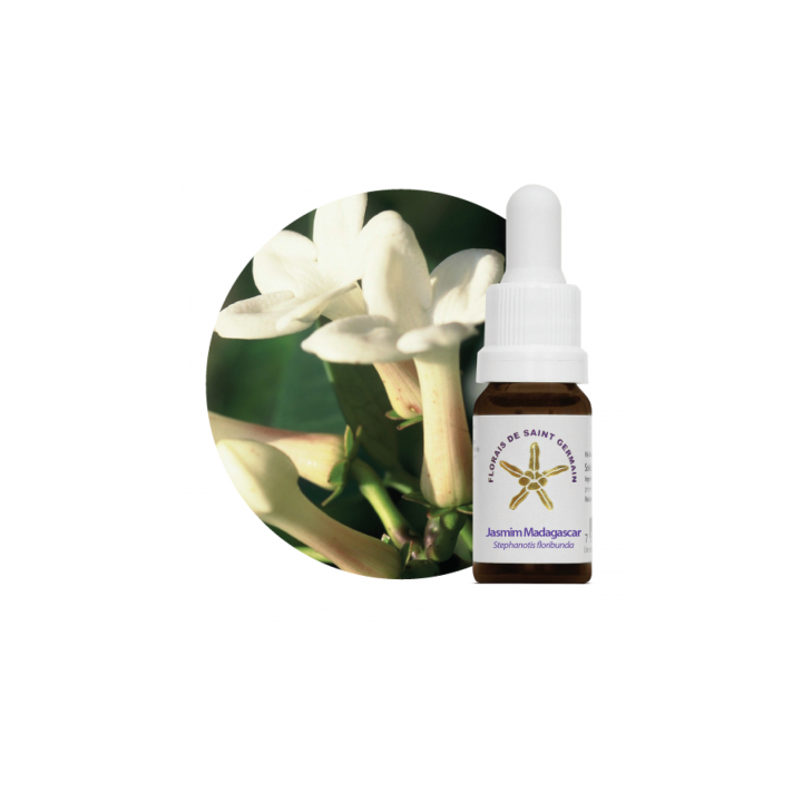 {
  "name": "Jasmine Flower Madagascar - 10ml"
}