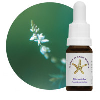 {
  "name": "Floral Mimozinha - 10ml"
}