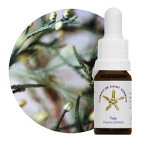 {
  "name": "Floral Tuia - 10ml"
}