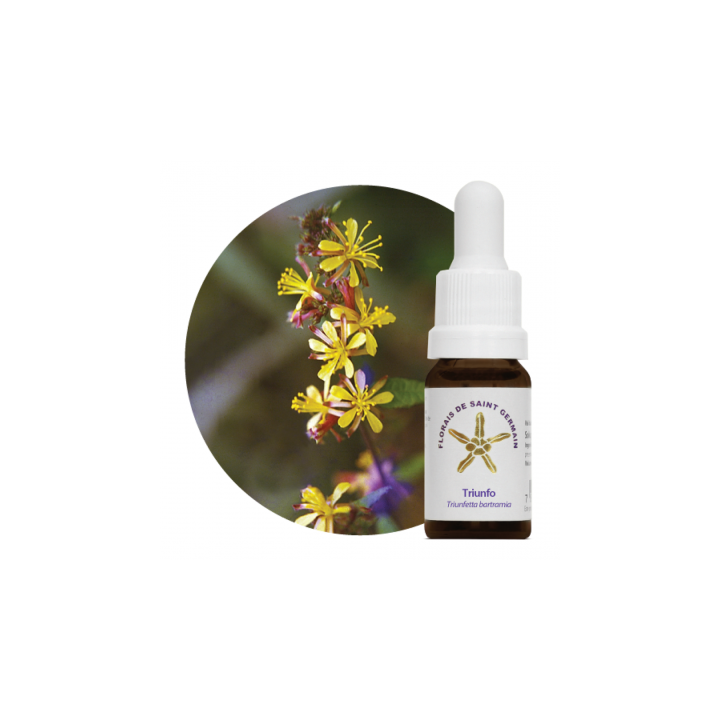 Floral Triunfo - 10ml