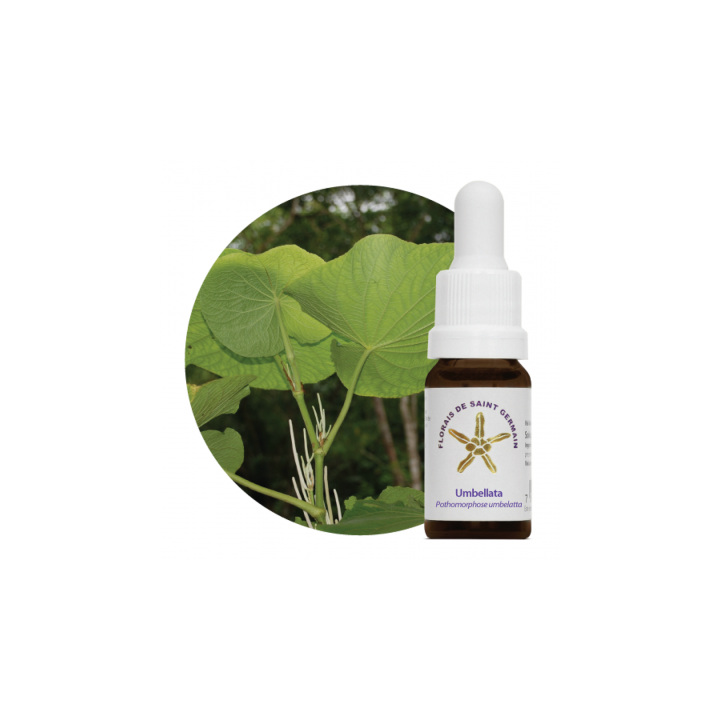 {
  "name": "Floral Umbellata - 10ml"
}