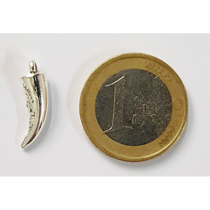 {
  "name": "Amulet - Horn with Indian Print"
}